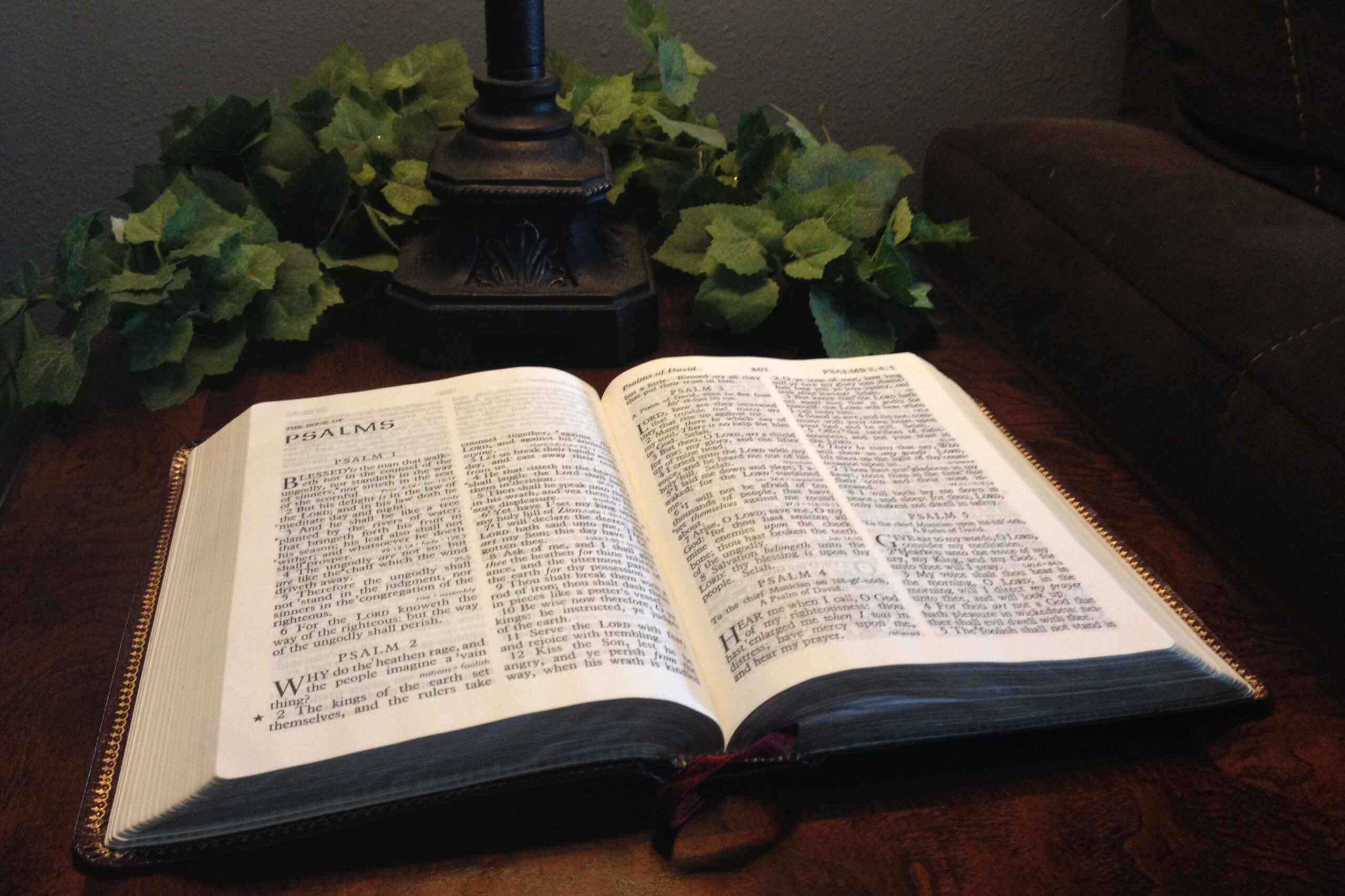 bible_img_2
